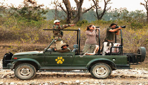 Jeep Safari Booking in Corbett